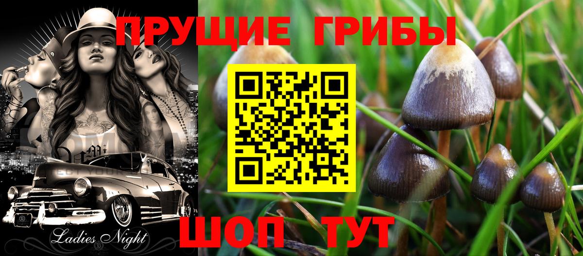 Псилоцибиновые грибы Magic Shrooms  Вход с VPN  цены наркотик  Абинск  Псилоцибиновые грибы прущие грибы 