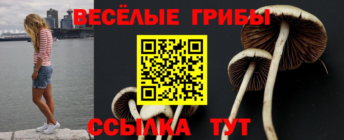 Псилоцибиновые грибы Magic Shrooms Абинск
