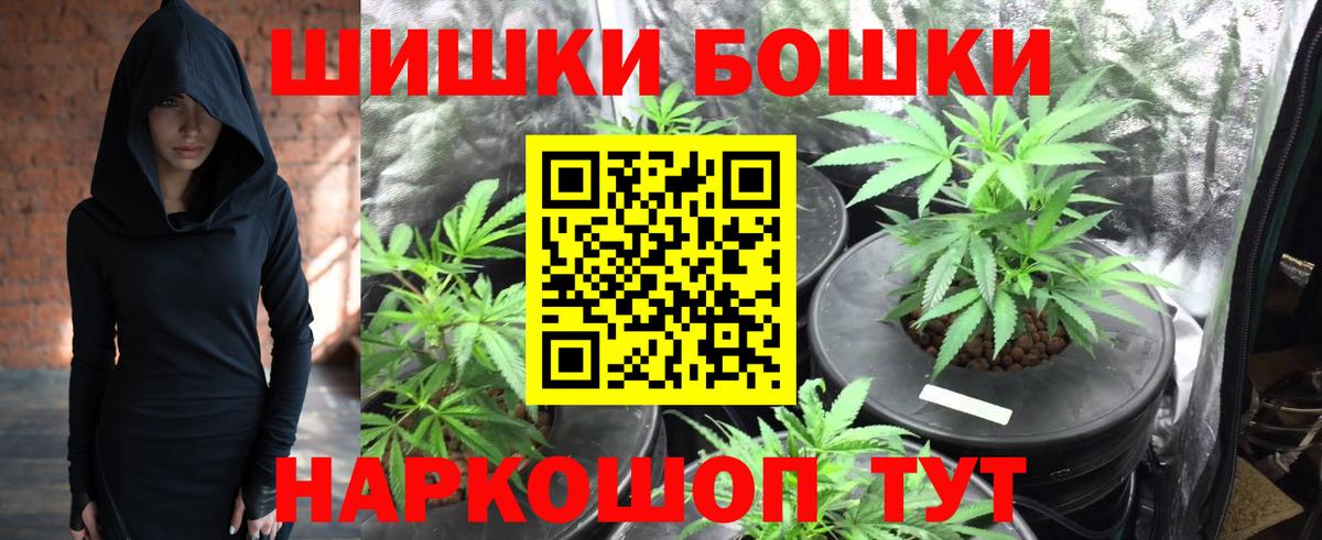 Бошки Шишки планчик Абинск